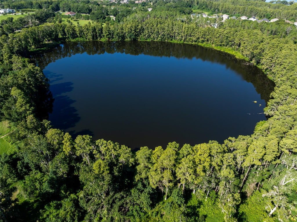 Photo of 5135 Collier Parkway, Land O Lakes, FL 34639 (MLS # TB8544947)