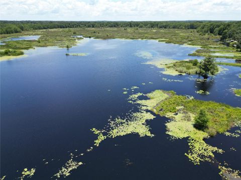 Tiny photo for 8781 S Lakeshore Drive, Floral City, FL 34436 (MLS # A4656947)