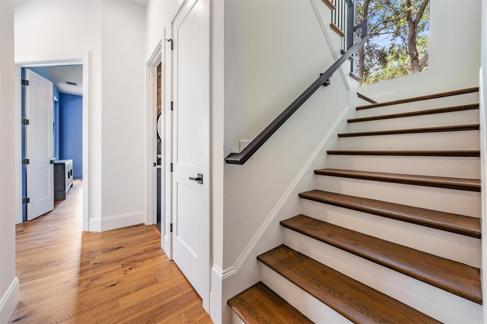 HIGHLANDS OF INNISBROOK - Residential