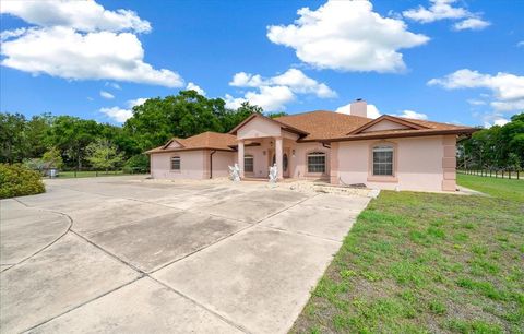 Tiny photo for 5085 SE 38th Street, Ocala, FL 34480 (MLS # OM722694)