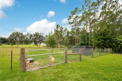 Tiny photo for 11206 Howey Cross Road, Clermont, FL 34715 (MLS # O6424541)