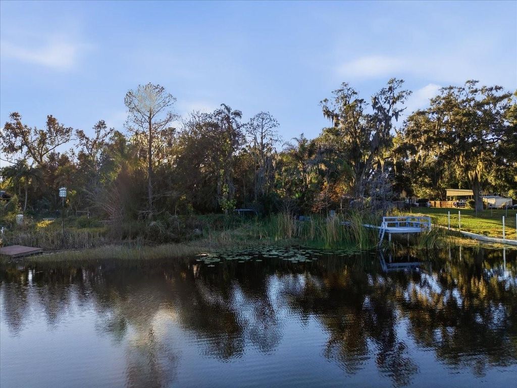 Photo of 16921 Crawley Road, Odessa, FL 33556 (MLS # TB8352345)