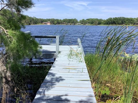 Photo of 16921 Crawley Road, Odessa, FL 33556 (MLS # TB8352345)