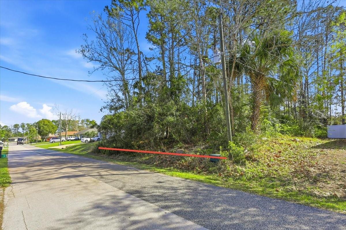 PALM COAST SEC 13 BRESSLER PRCL H BROOKSIDE PRCL P - Land