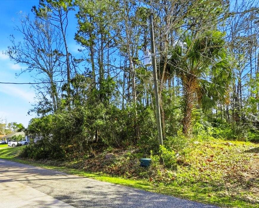 PALM COAST SEC 13 BRESSLER PRCL H BROOKSIDE PRCL P - Land