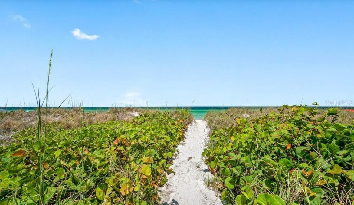 CHATEAU CONDO THE - Residential