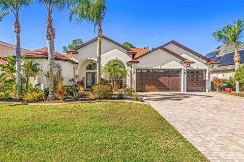 10724 CORY LAKE DRIVE TAMPA FL 33647