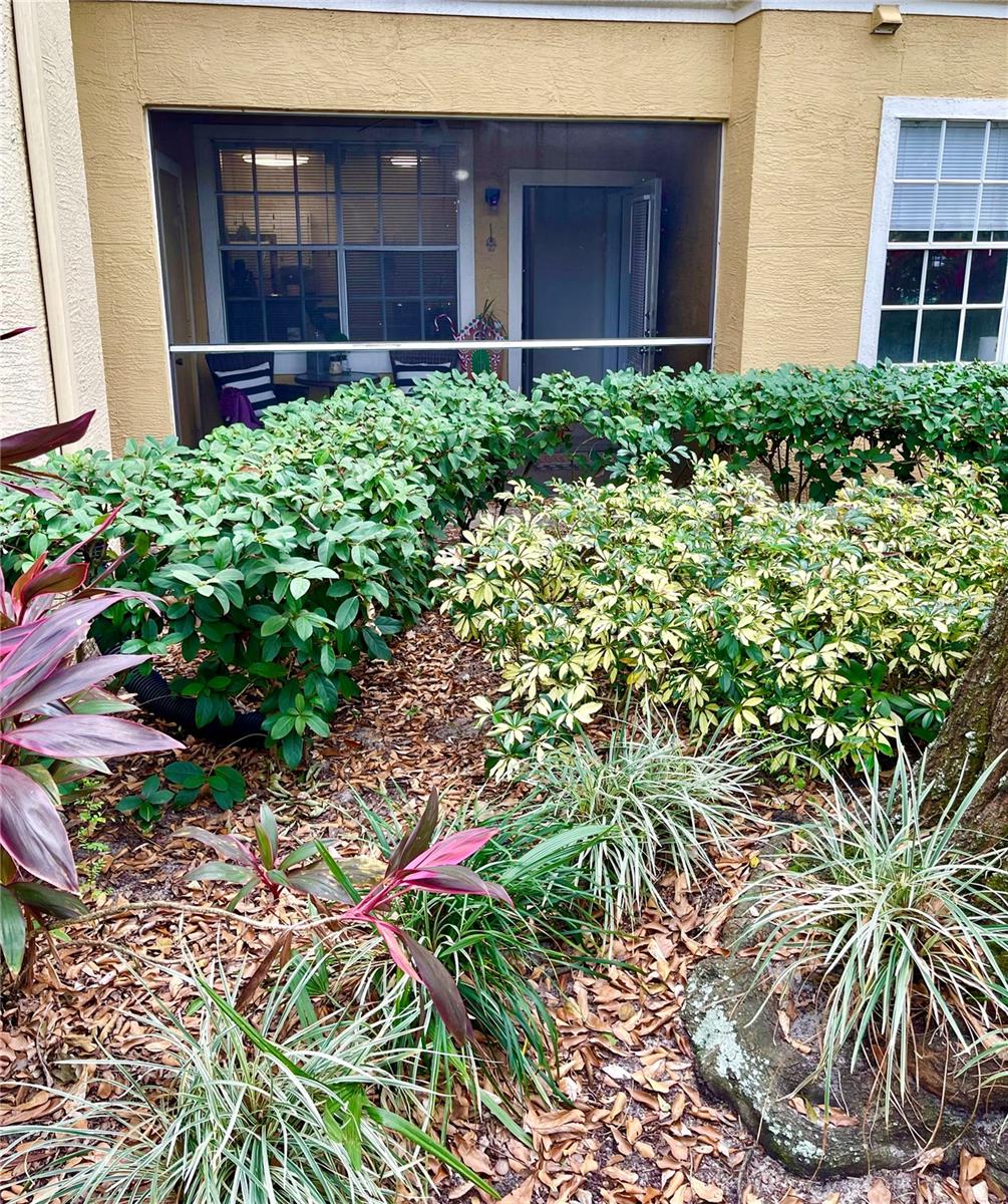 MADISON AT METROWEST CONDO - Residential