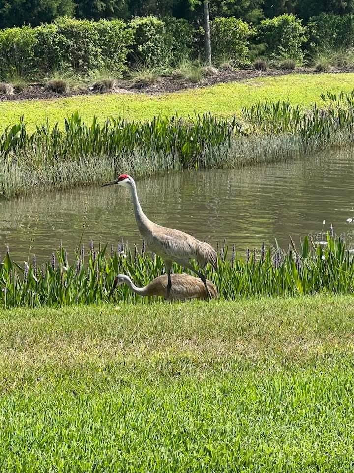 AVIARY AT RUTLAND RANCH PH 1A & 1B - Residential