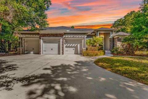 Photo of 11899 SW Darcy Drive, Lake Suzy, FL 34269 (MLS # C7523863)