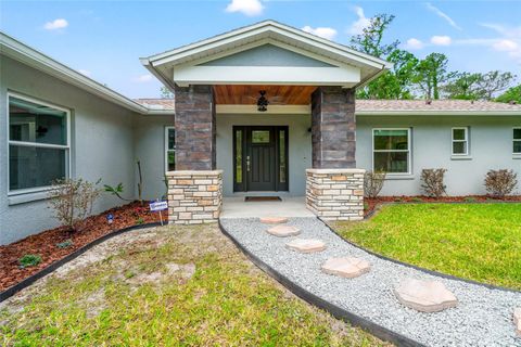 28628 BENNINGTON DRIVE WESLEY CHAPEL FL 33544