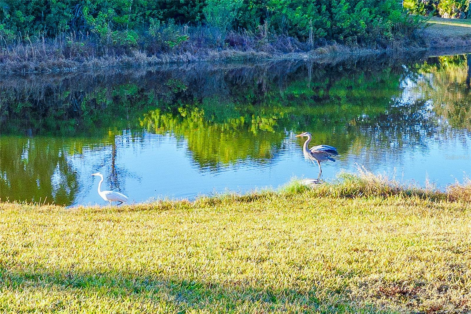 ROTONDA HEIGHTS - Residential