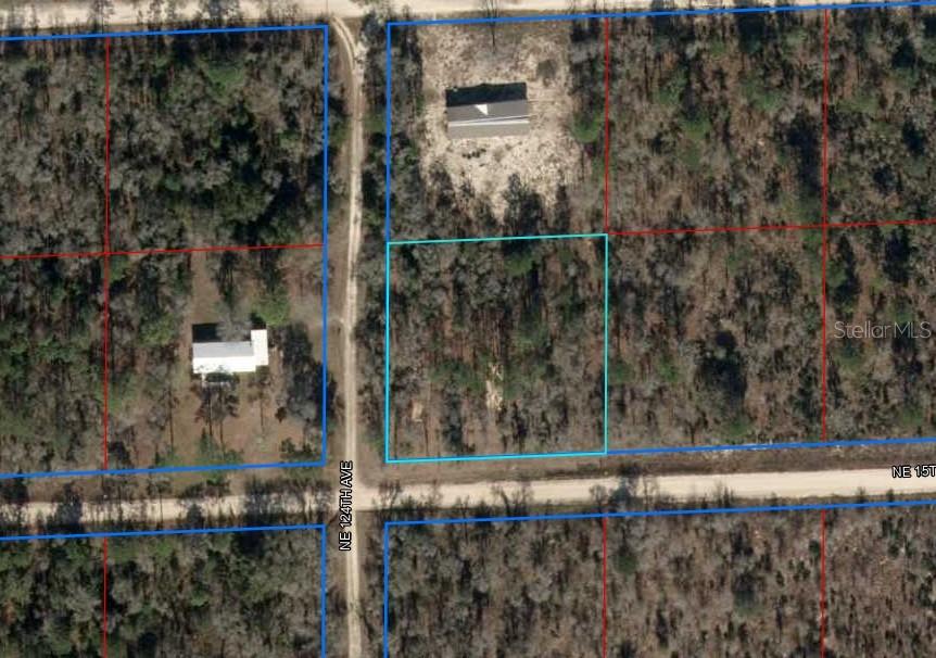 Dreams of country living become reality on this pristine 1-acre wooded, corner lot in Williston Highlands. Zoned for manufactured or site-built homes, this high-and-dry property offers privacy and flexibility, with no HOA and no time limits to build. Located just minutes from Williston Municipal Airport and Goethe State Forest, and with easy access to Ocala and Gainesville, it’s the perfect spot to enjoy a quiet rural lifestyle while staying connected to nearby amenities. Williston offers a charming small-town feel with access to outdoor recreation, equestrian activities, local markets, and natural springs like Devil’s Den and Blue Grotto, making it an ideal place to put down roots.