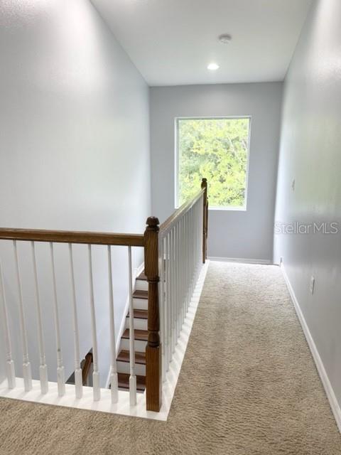 TUSCANY SUB AT TAMPA P - Residential Lease