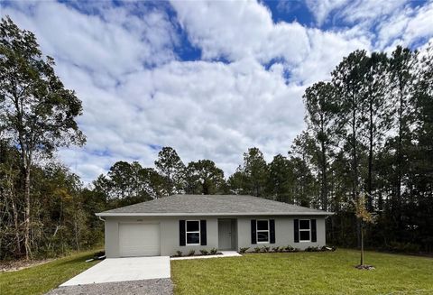 Photo of 10720 Zigler Avenue, Hastings, FL 32145 (MLS # C7515775)