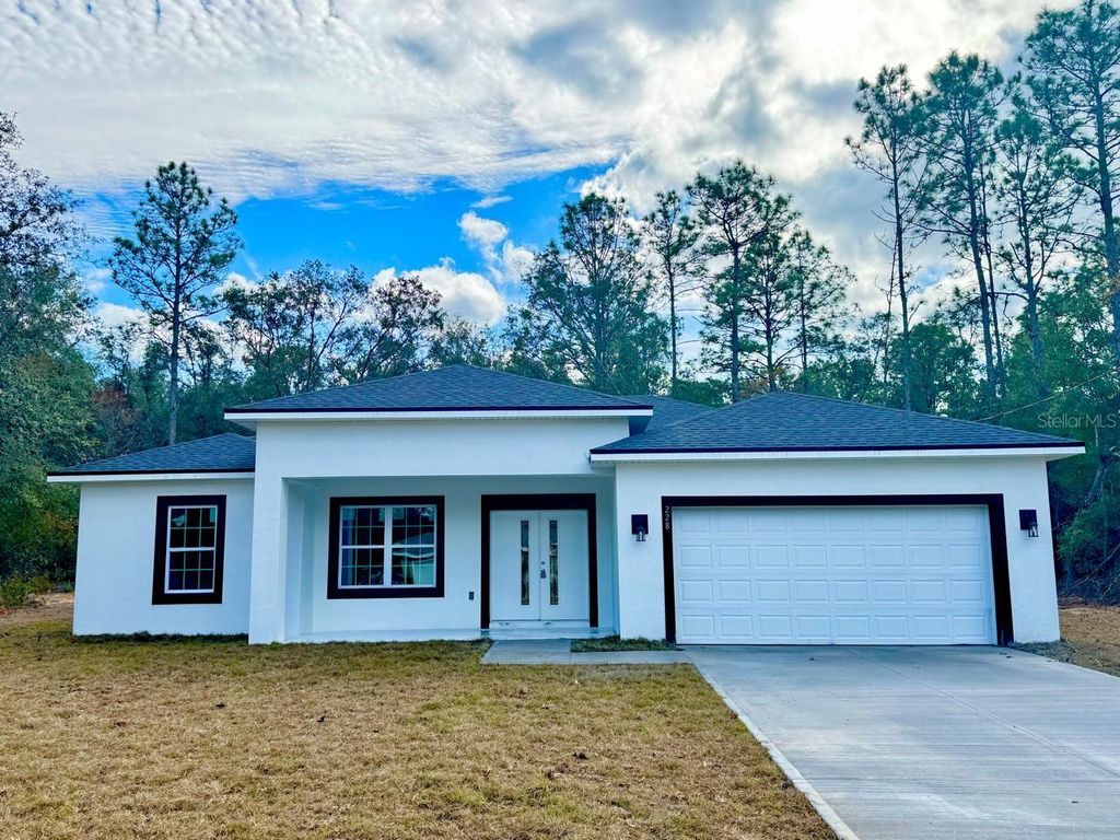 Photo of 228 W Brimson Place, Citrus Springs, FL 34434 (MLS # O6377120)