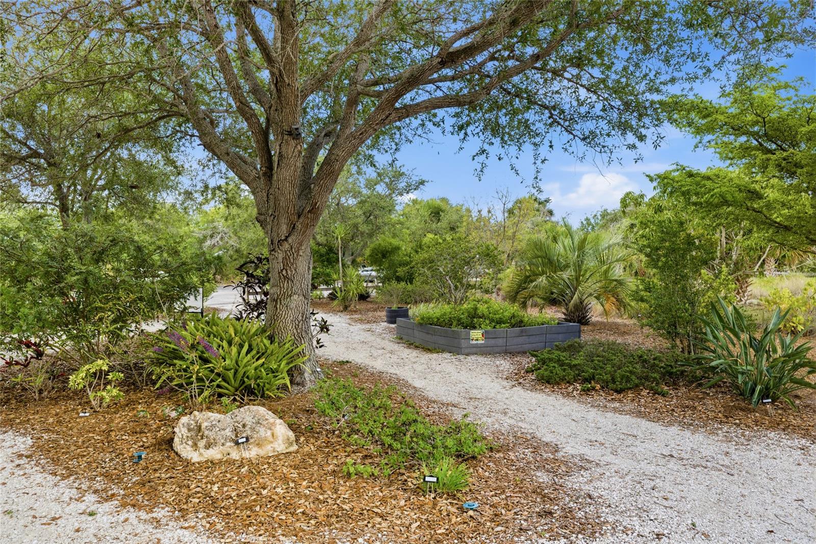 SUNSET BEACH - Residential