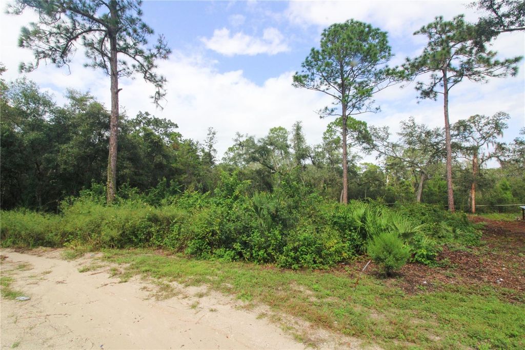 Photo of 00 SE 10th St, Silver Springs, FL 34488 (MLS # OM710922)