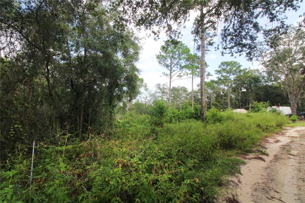 Photo of 00 SE 10th St, Silver Springs, FL 34488 (MLS # OM710922)