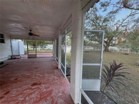 A home in ZEPHYRHILLS