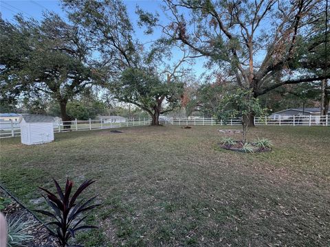 A home in ZEPHYRHILLS