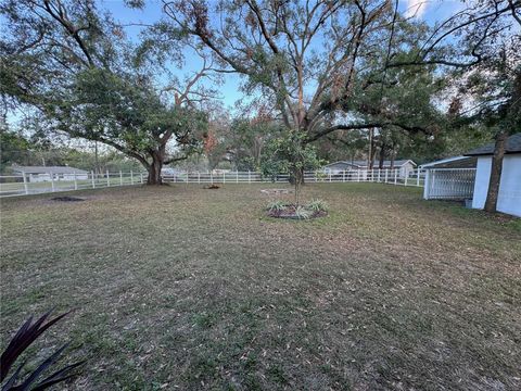 A home in ZEPHYRHILLS