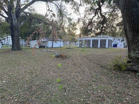 A home in ZEPHYRHILLS