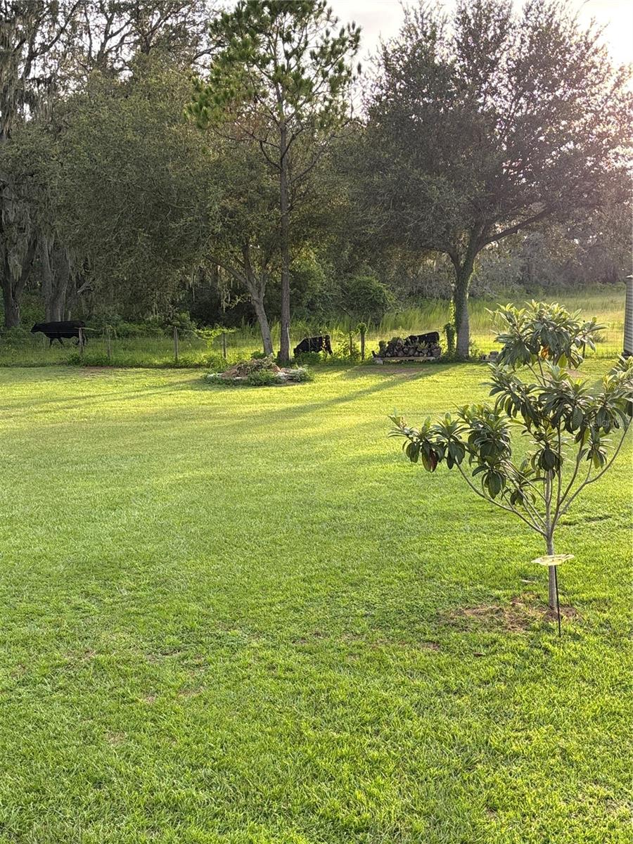 ZEPHYRHILLS COLONY CO - Residential