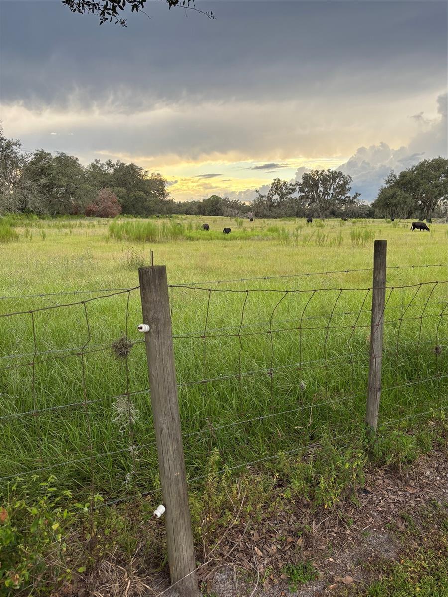 ZEPHYRHILLS COLONY CO - Residential