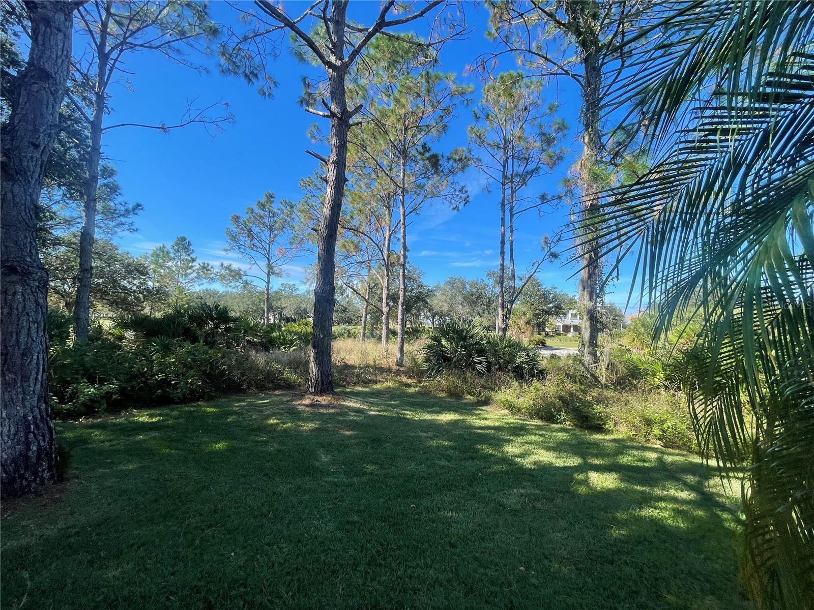 KEENES POINTE - Residential