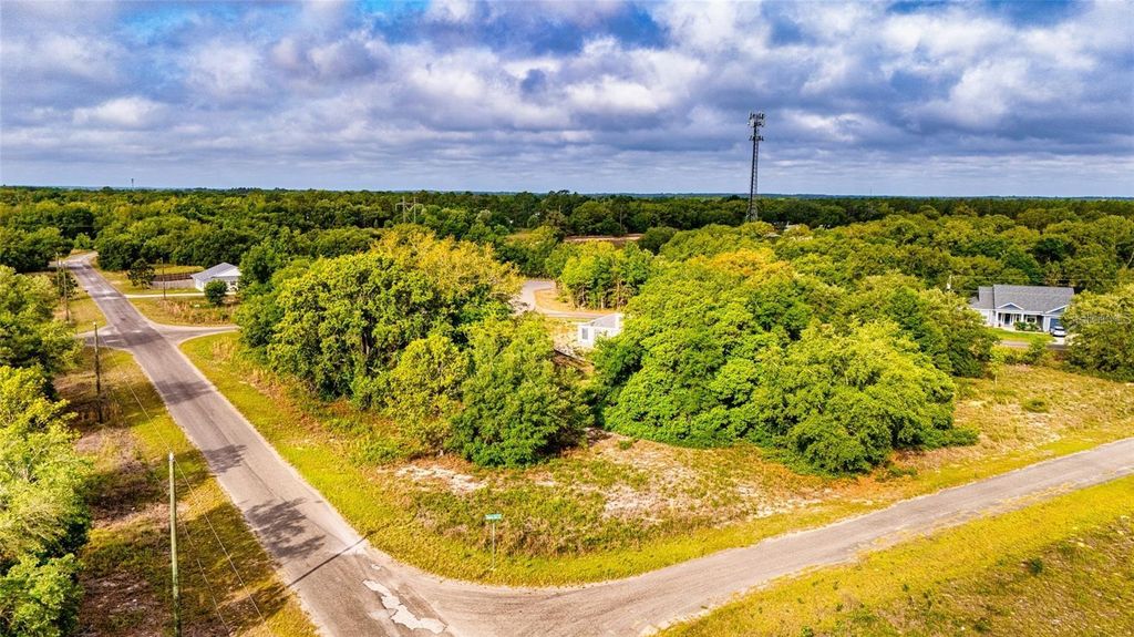 Photo of Guava Terrace, Ocklawaha, FL 32179 (MLS # D6147449)
