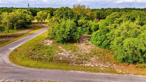 Tiny photo for Guava Terrace, Ocklawaha, FL 32179 (MLS # D6147449)