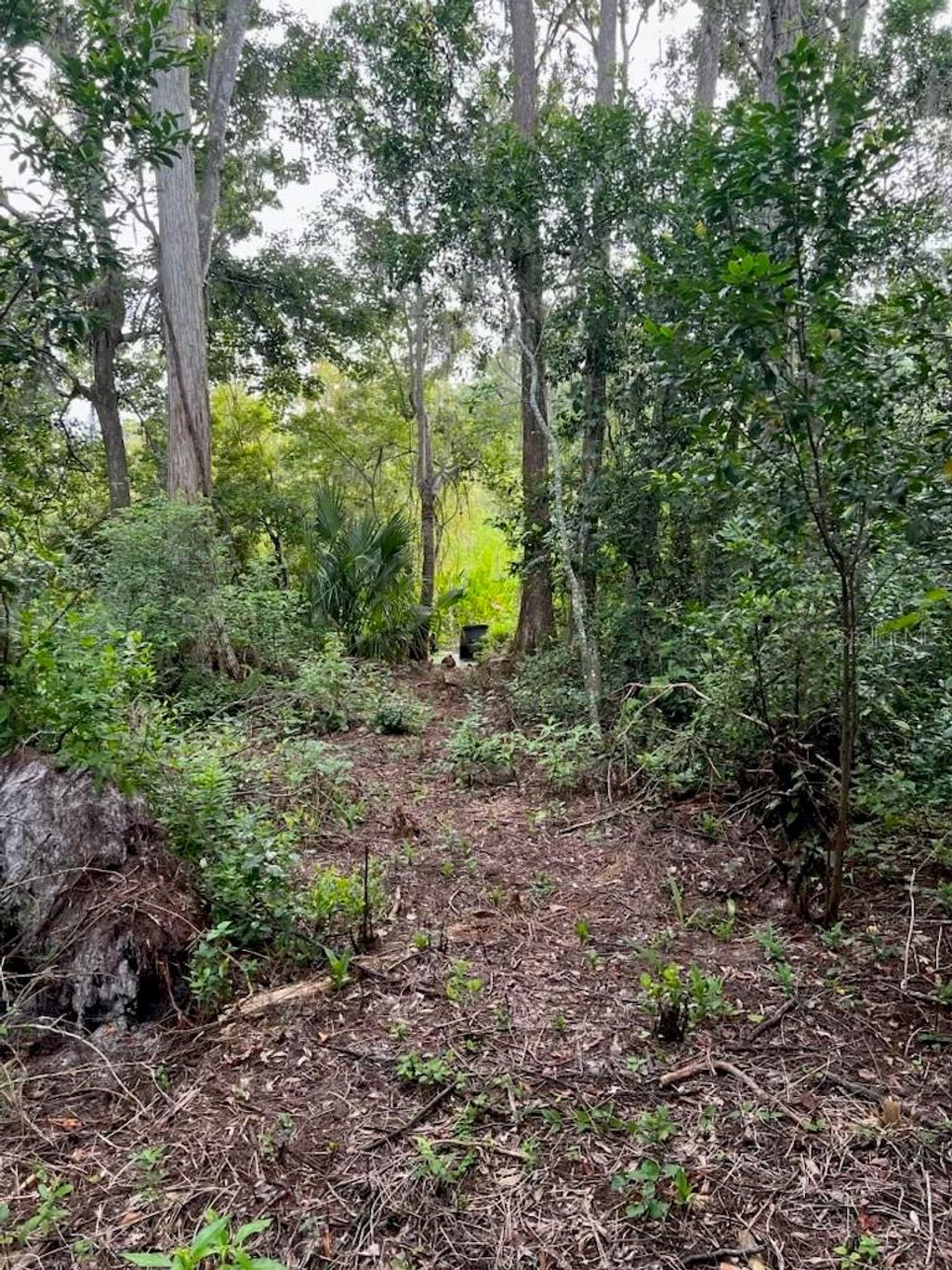 Photo of 0 Moon Lake Circle, New Port Richey, FL 34654 (MLS # TB8453984)