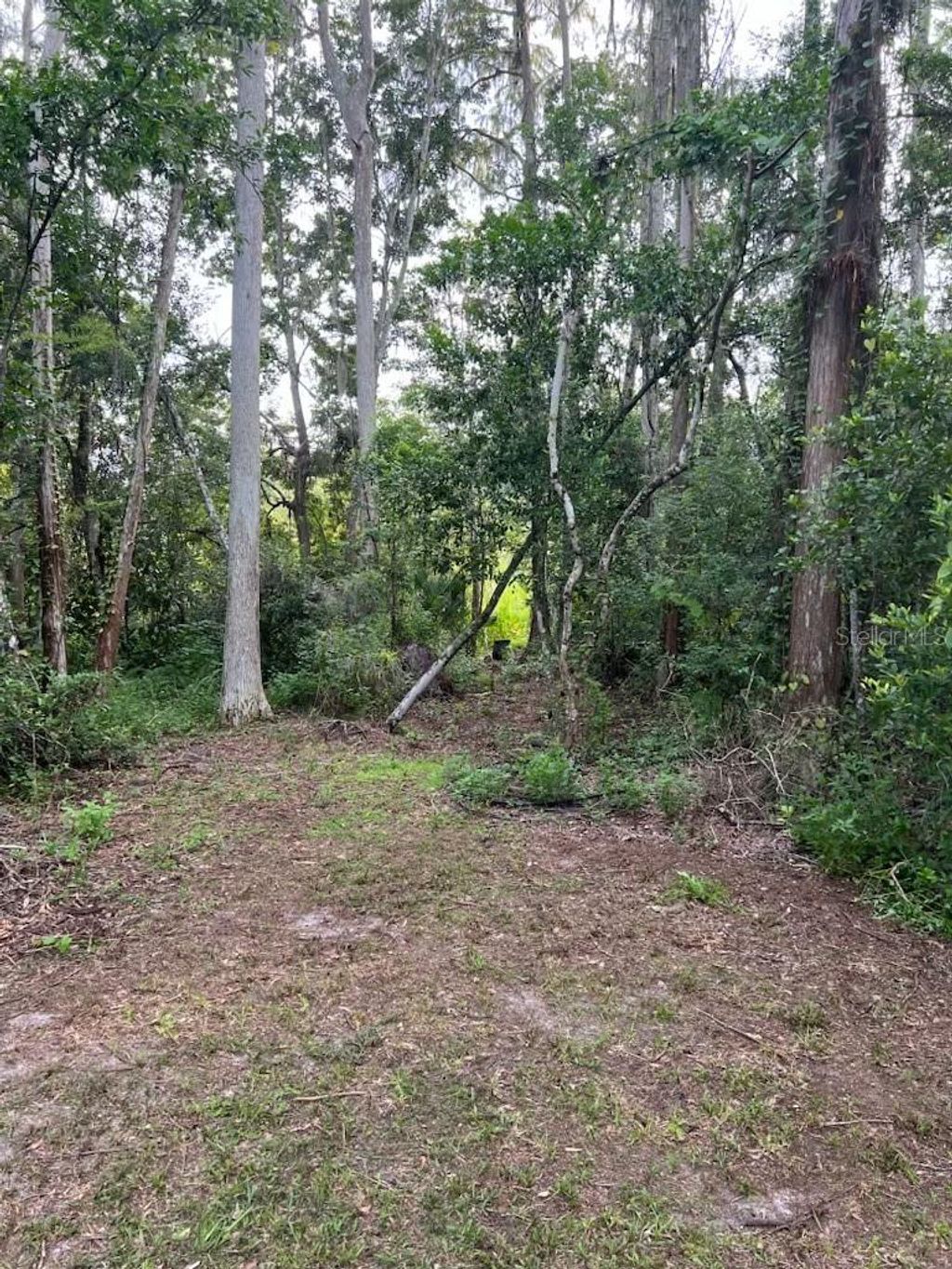 Photo of 0 Moon Lake Circle, New Port Richey, FL 34654 (MLS # TB8453984)