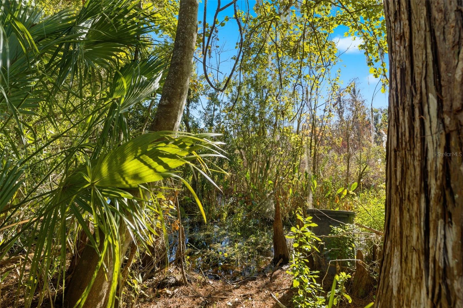 MOON LAKE ESTATES - Land