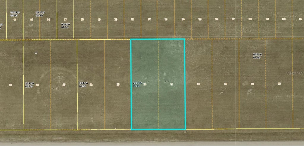 Photo of 1713 NE 15th Lane, Cape Coral, FL 33909 (MLS # A4697275)