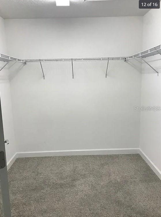 STOREY GROVE - Residential Lease