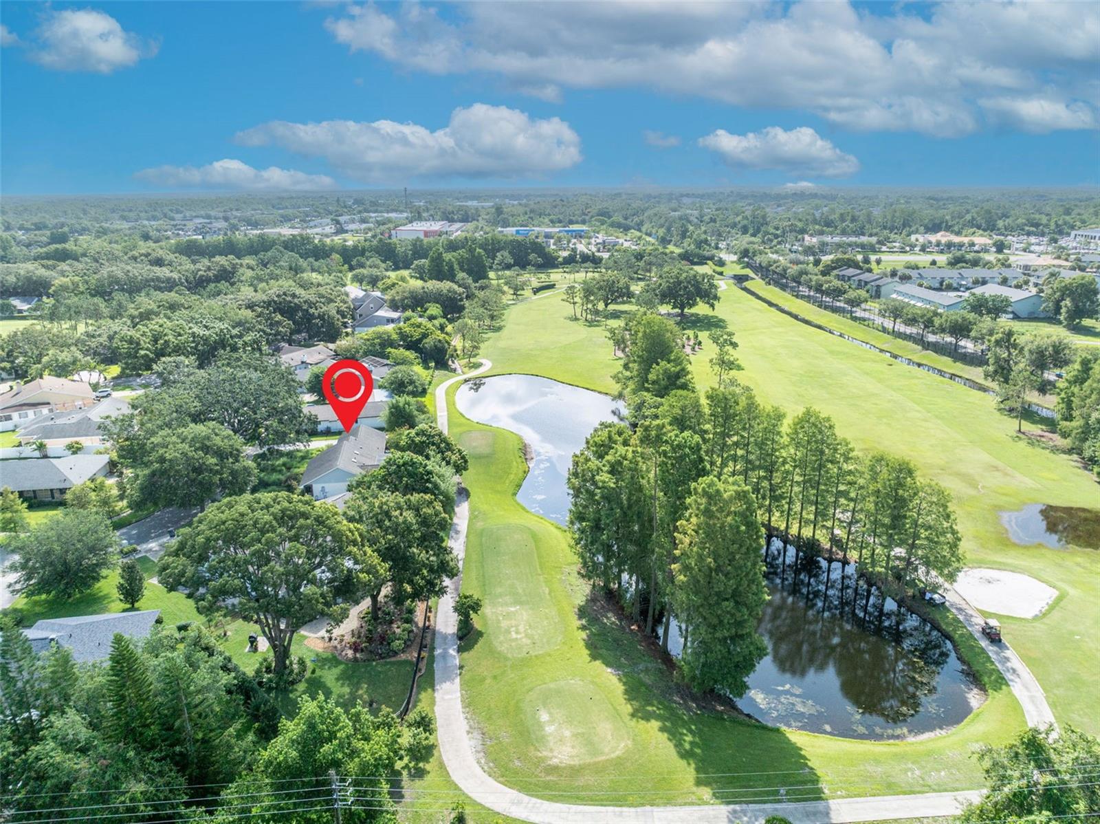 1387 SAWGRASS COURT