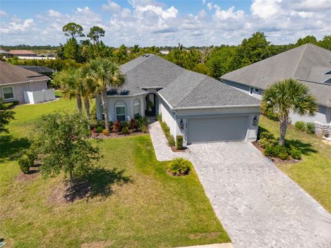 A home in PALM COAST