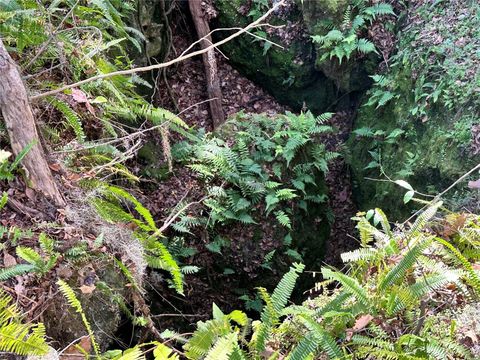 Tiny photo for 4305 SW 20th Avenue, Ocala, FL 34471 (MLS # OM702426)