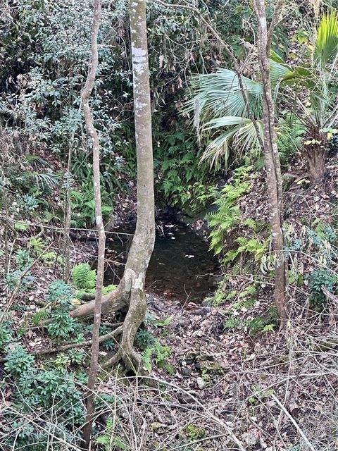 Tiny photo for 4305 SW 20th Avenue, Ocala, FL 34471 (MLS # OM702426)