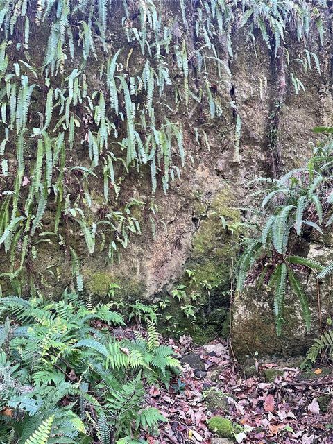 Tiny photo for 4305 SW 20th Avenue, Ocala, FL 34471 (MLS # OM702426)