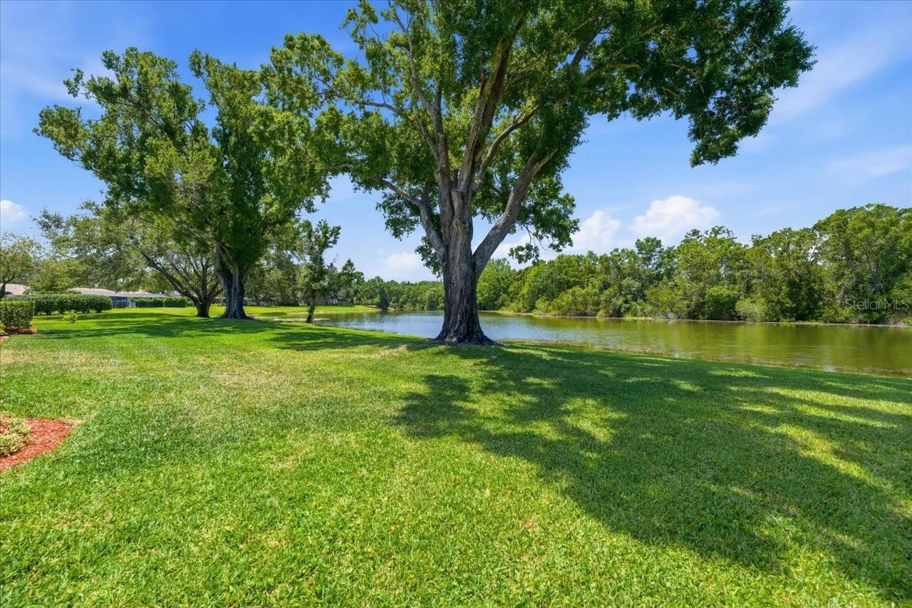 CARROLLWOOD VILLAGE PH TWO - Residential