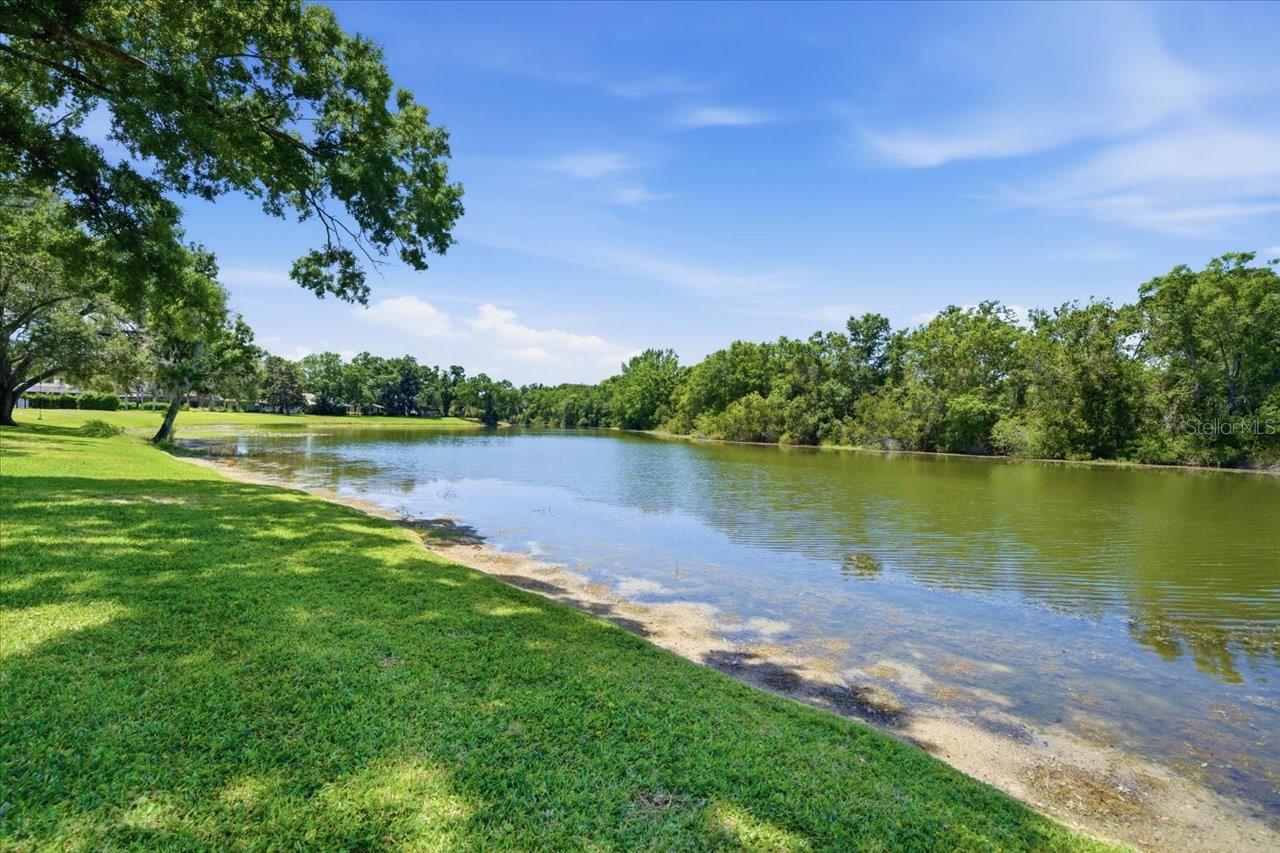 CARROLLWOOD VILLAGE PH TWO - Residential