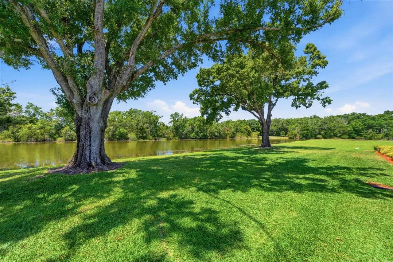 CARROLLWOOD VILLAGE PH TWO - Residential