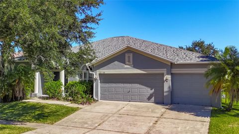 16158 BRIDGEPARK DRIVE LITHIA FL 33547