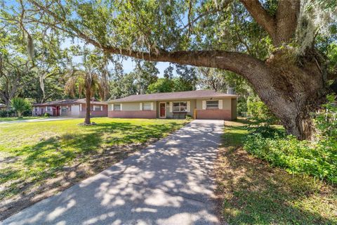 6060 SE 119TH PLACE BELLEVIEW FL 34420