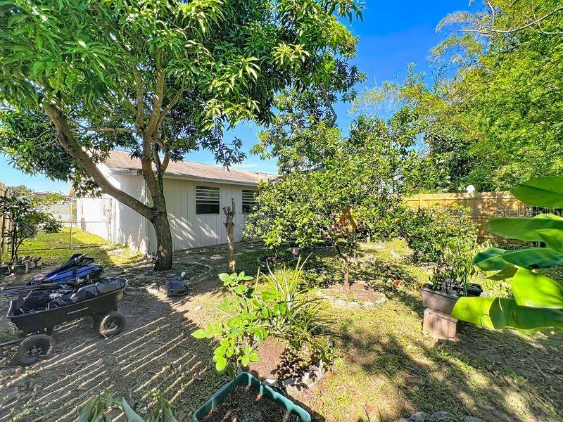 QUAIL HOLLOW AT RIO PINAR - Residential