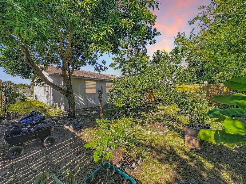 QUAIL HOLLOW AT RIO PINAR - Residential