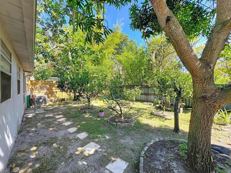 QUAIL HOLLOW AT RIO PINAR - Residential